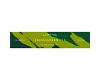 Scentsual Fresh Green Tea Incense